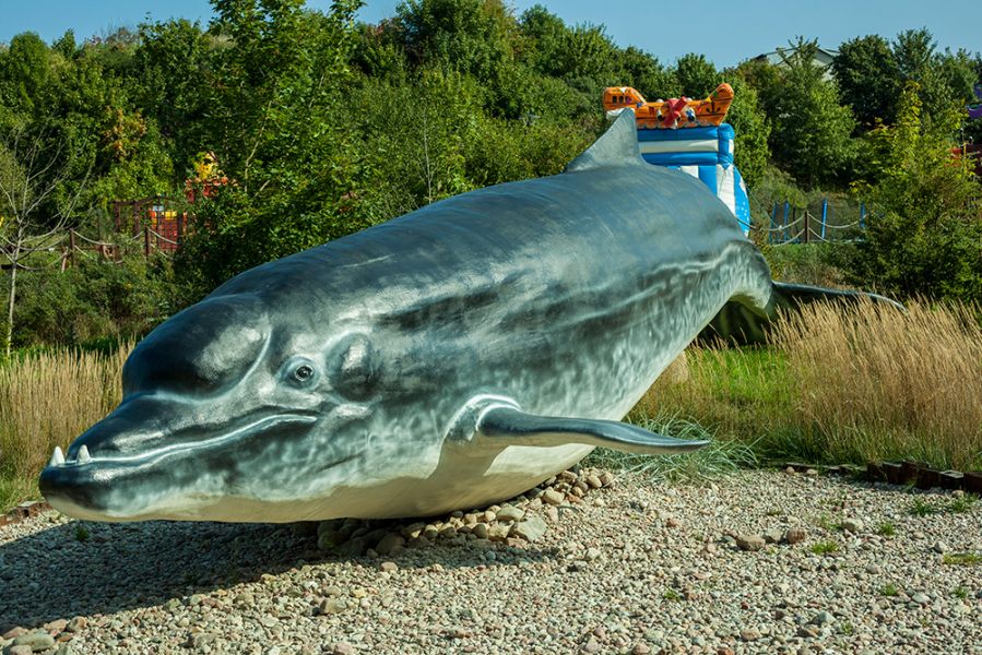 Ocean Park - Wieloryb we Władysławowie 2