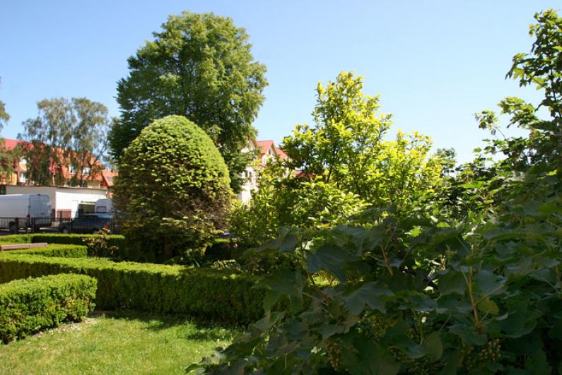 Pensjonat Magnolia 16