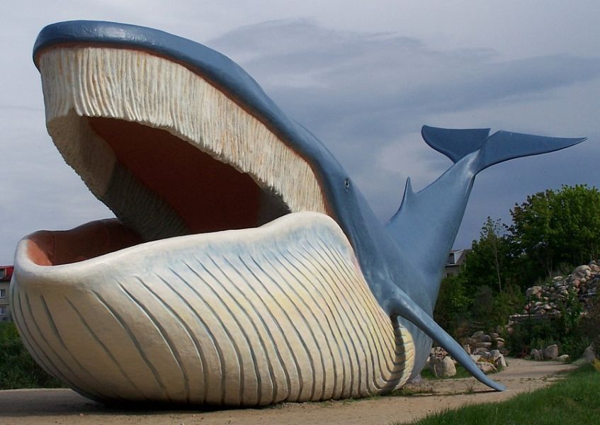 Ocean Park - Wieloryb we Władysławowie 1